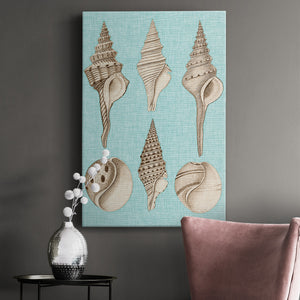 Sepia & Aqua Shells II Premium Gallery Wrapped Canvas - Ready to Hang