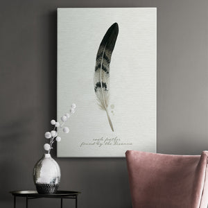 Found Feather I - Canvas Art Print
