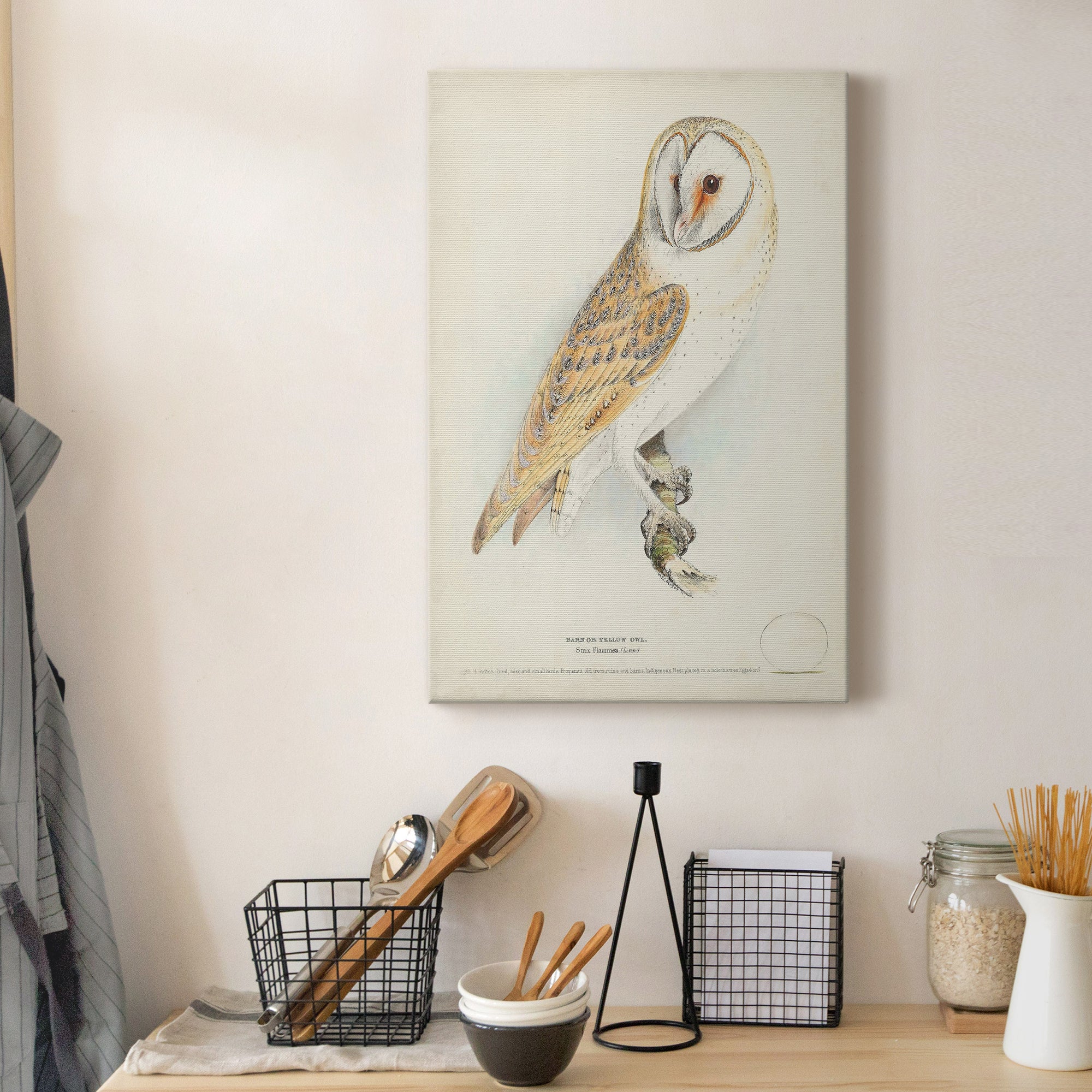 Barn Owl Premium Gallery Wrapped Canvas - Ready to Hang