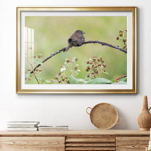 Resting Sparrow - Modern Framed Art Print