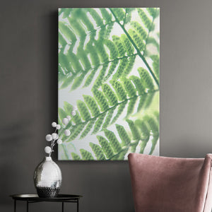 UA Fern Glow III Premium Gallery Wrapped Canvas - Ready to Hang