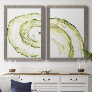 Lichen Halo V - Barnwood Framed Canvas Set