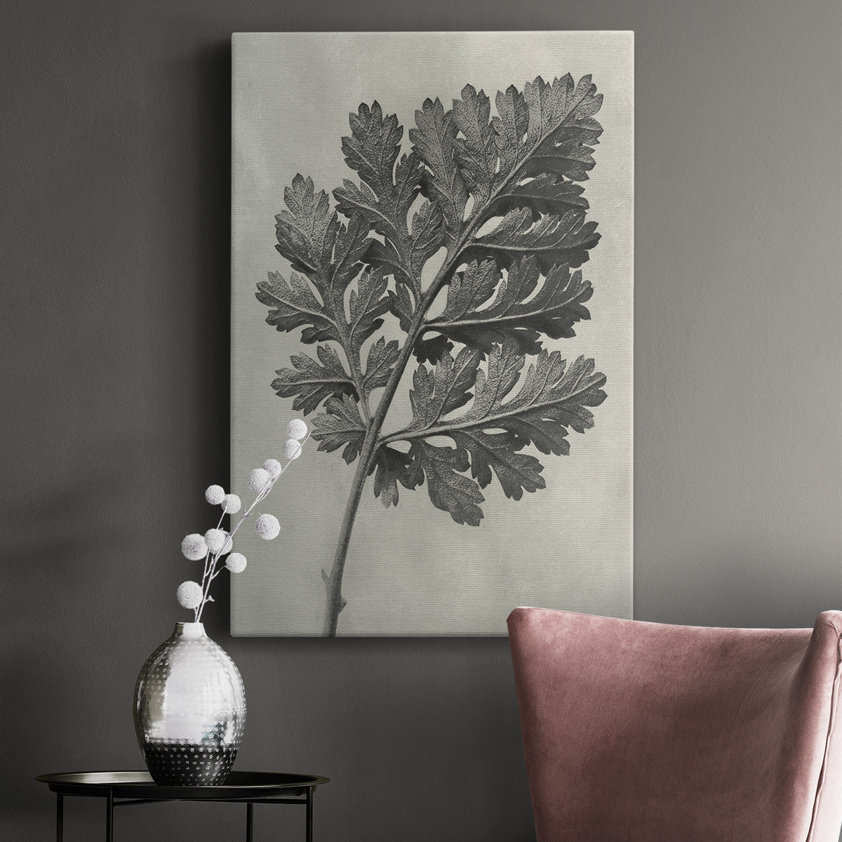 Blossfeldt Botanical III Premium Gallery Wrapped Canvas - Ready to Hang