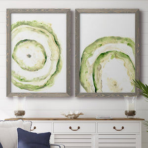 Lichen Halo III - Barnwood Framed Canvas Set