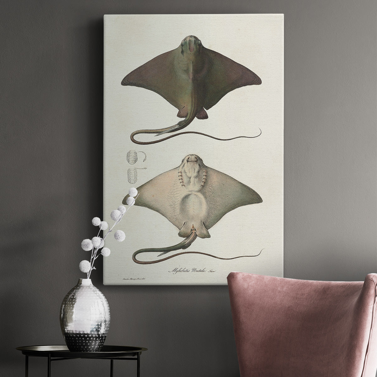 Antique Rays IV Premium Gallery Wrapped Canvas - Ready to Hang