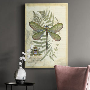 Regal Dragonfly II (PP)  - Canvas Art Print