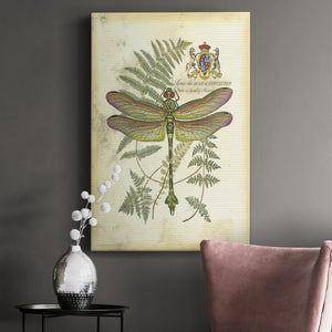 Regal Dragonfly III (PP)  - Canvas Art Print