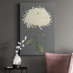 Dramatic Ivory Mums II Premium Gallery Wrapped Canvas - Ready to Hang