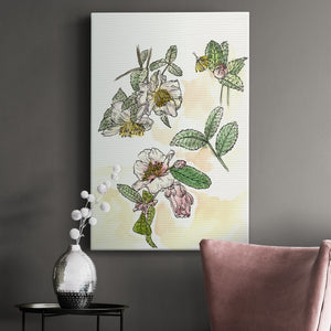 Camellia Study - Canvas Art Print