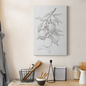 Fruit-Bearing Branch I - Canvas Art Print