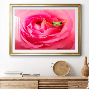 Hanging On VIII - Modern Framed Art Print