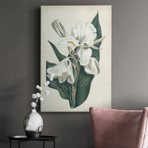 Ivory Garden IV Premium Gallery Wrapped Canvas - Ready to Hang