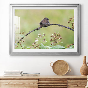 Resting Sparrow - Modern Framed Art Print