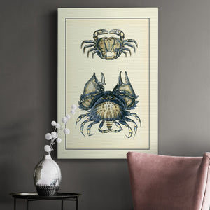 Antique Blue Crabs I Premium Gallery Wrapped Canvas - Ready to Hang