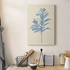 Verditer Fig I - Canvas Art Print