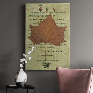 Autumn Leaf II Premium Gallery Wrapped Canvas - Ready to Hang