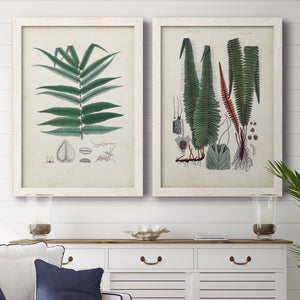 Collected Ferns IX - Premium Framed Canvas 2 Piece Set - Ready to Hang