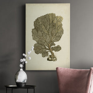 Sealife Collection VIII - Canvas Art Print