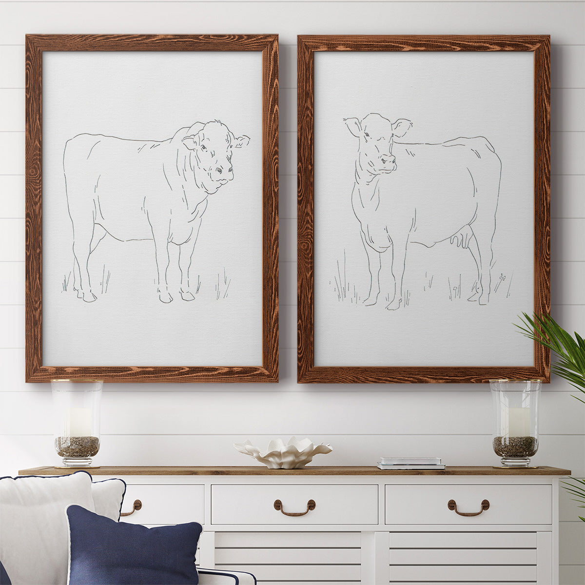 Limousin Cattle I - Barnwood Framed Canvas Set