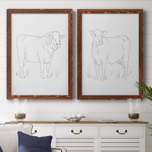Limousin Cattle I - Barnwood Framed Canvas Set