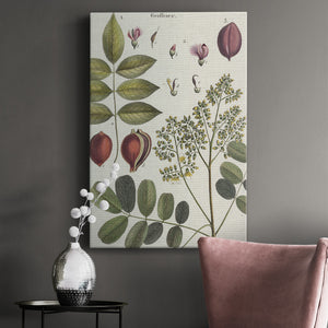 Exotic Botanique I - Canvas Art Print