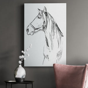 Bridle Portraits I - Canvas Art Print