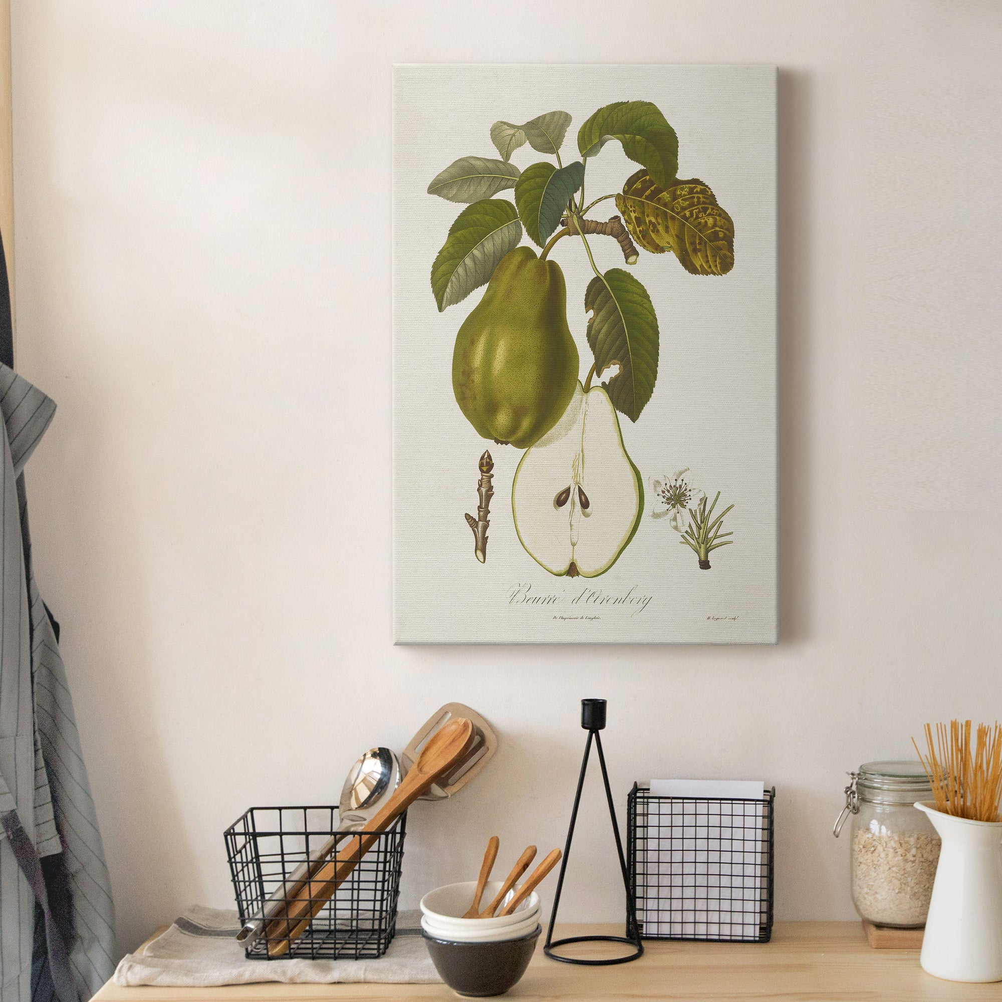 Vintage Pears IV Premium Gallery Wrapped Canvas - Ready to Hang