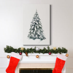 Blue Spruce II - Gallery Wrapped Canvas