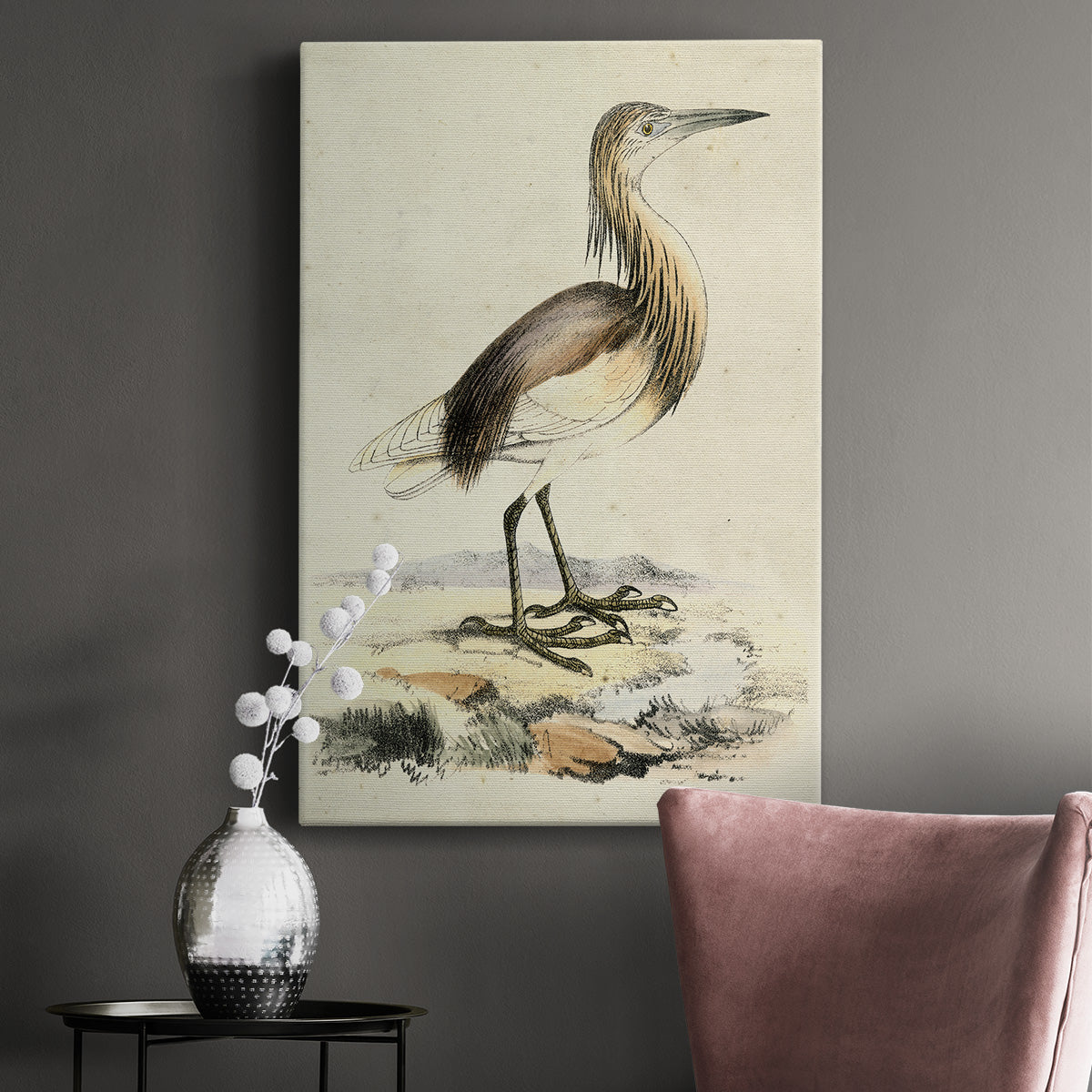 Antique Heron I Premium Gallery Wrapped Canvas - Ready to Hang