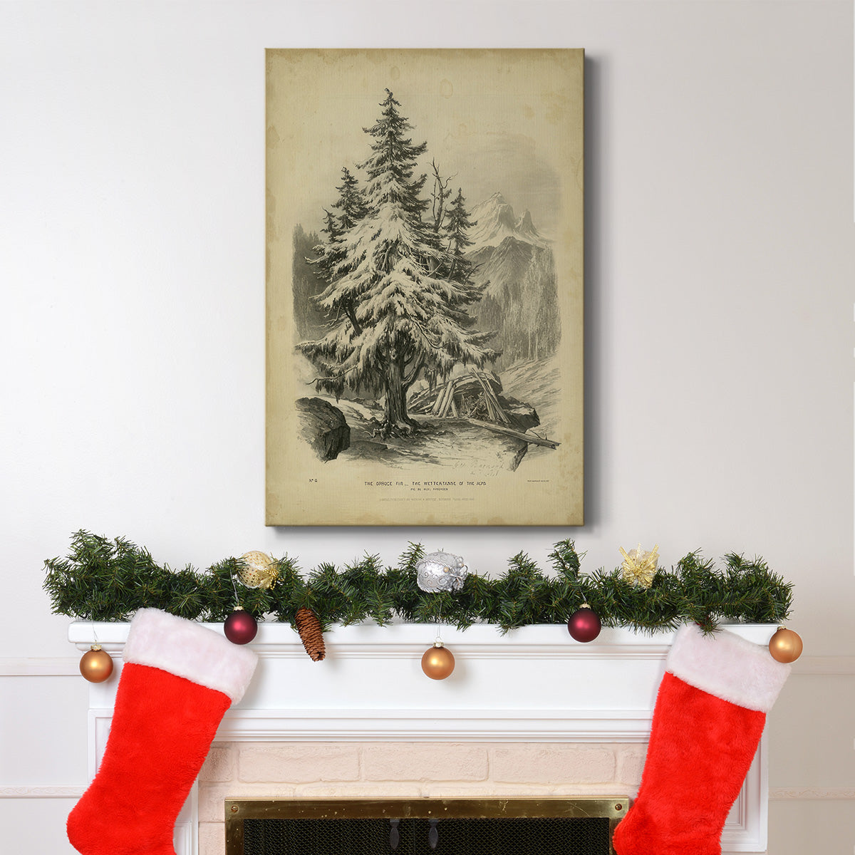 The Spruce - Gallery Wrapped Canvas