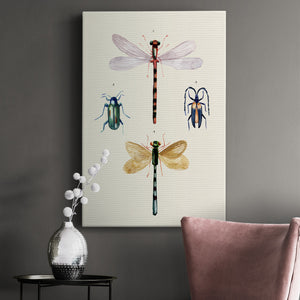 Insect Varieties I - Canvas Art Print