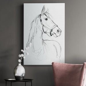 Bridle Portraits II - Canvas Art Print