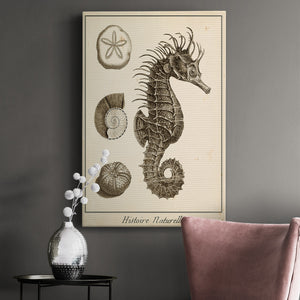 Seahorse Study I - Canvas Art Print