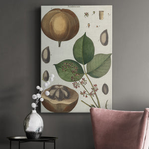 Exotic Botanique III - Canvas Art Print