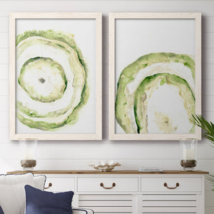 Lichen Halo III - Barnwood Framed Canvas Set