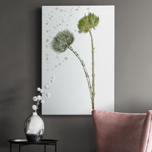 Botany Flower V Premium Gallery Wrapped Canvas - Ready to Hang