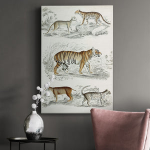 Journal of Natural History II - Canvas Art Print