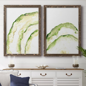 Lichen Halo I - Barnwood Framed Canvas Set