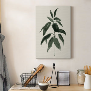 Soft Greenery II - Canvas Art Print