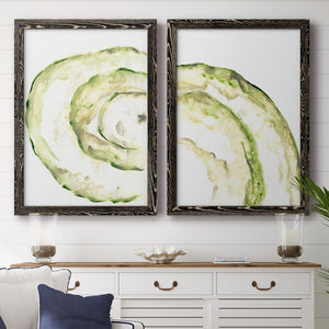 Lichen Halo V - Barnwood Framed Canvas Set