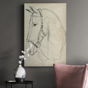 Horse in Bridle Sketch II - Canvas Art Print