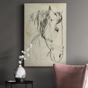 Horse in Bridle Sketch I - Canvas Art Print