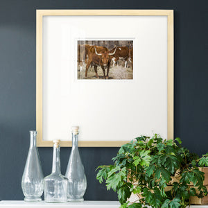 Longhorns- Premium Framed Print Double Matboard