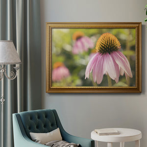 Echinacea Study I Premium Framed Canvas- Ready to Hang