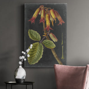 Dramatic Tropicals III Premium Gallery Wrapped Canvas - Ready to Hang