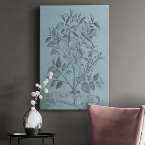 Botanical on Teal V Premium Gallery Wrapped Canvas - Ready to Hang
