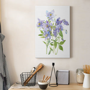 Columbine Spray I Premium Gallery Wrapped Canvas - Ready to Hang