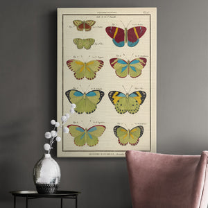 Histoire Naturelle Butterflies II - Canvas Art Print