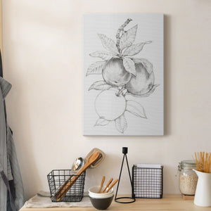 Fruit-Bearing Branch II - Canvas Art Print