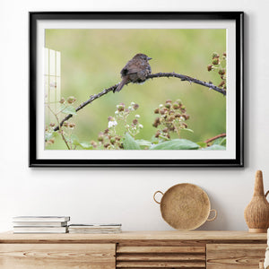 Resting Sparrow - Modern Framed Art Print